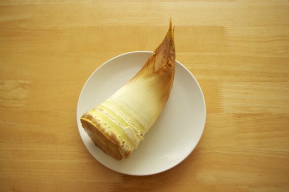 bamboo-shoot-g30ddf72e4_1920