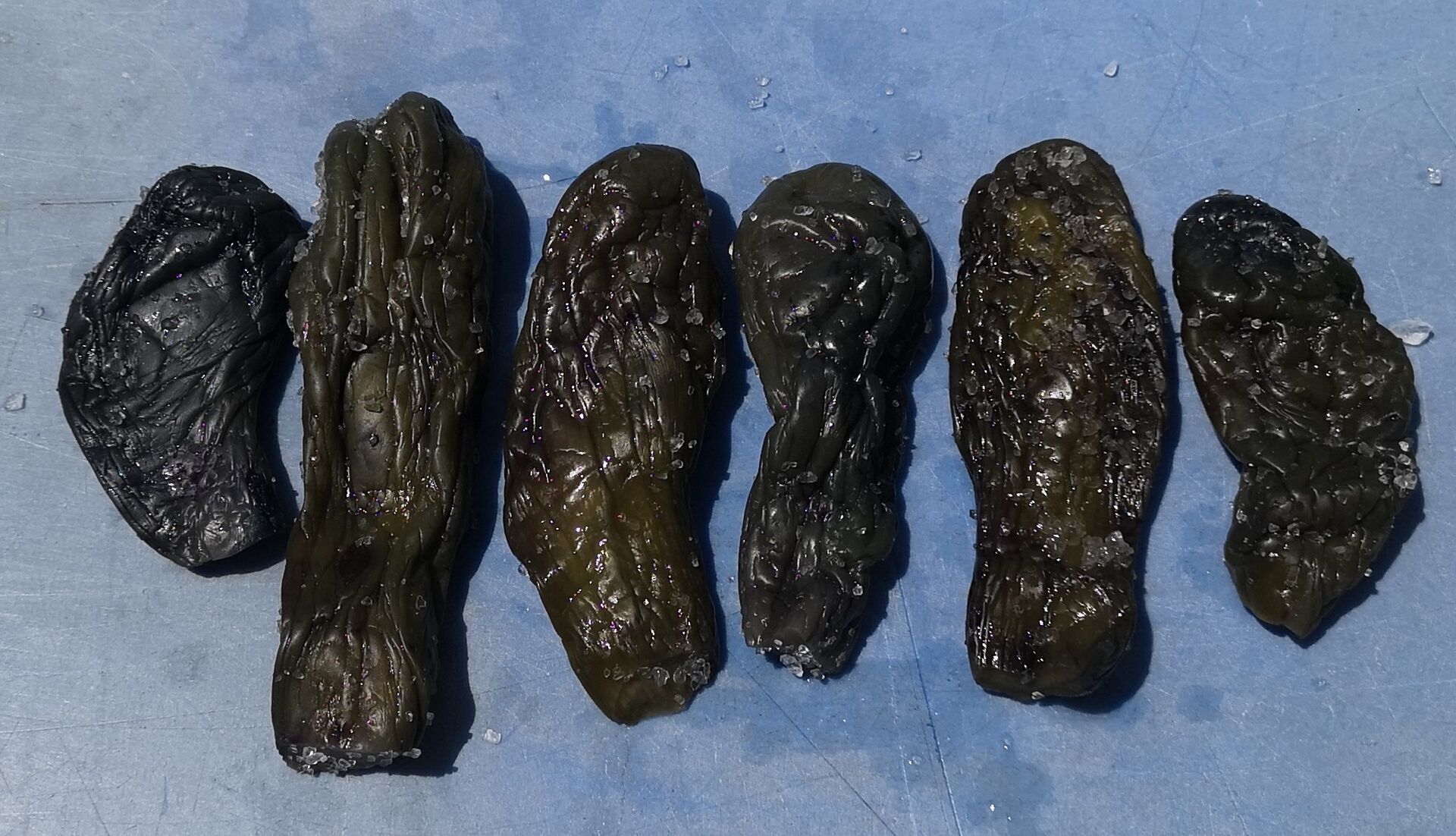 塩蔵茄子3