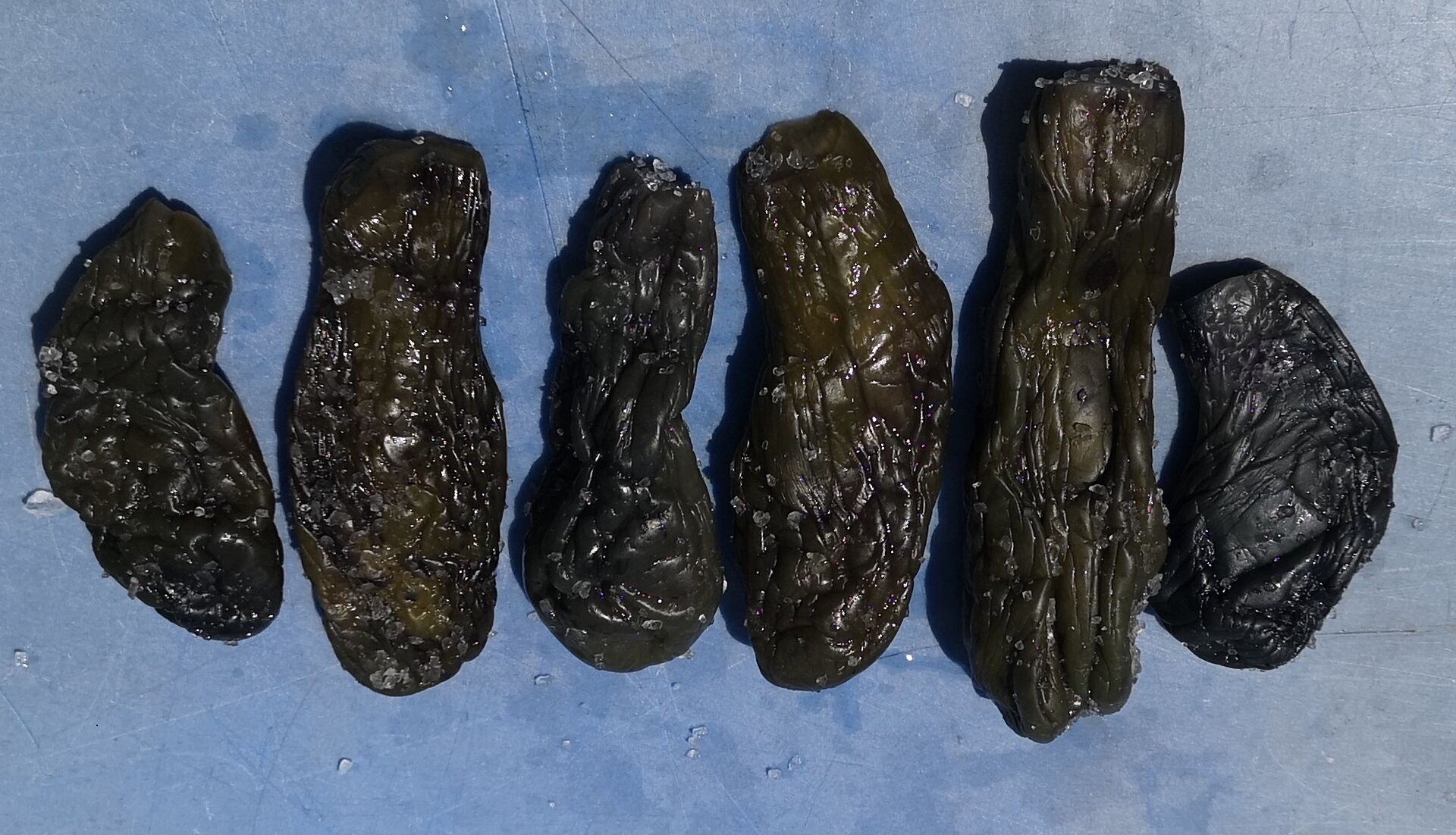 塩蔵茄子4
