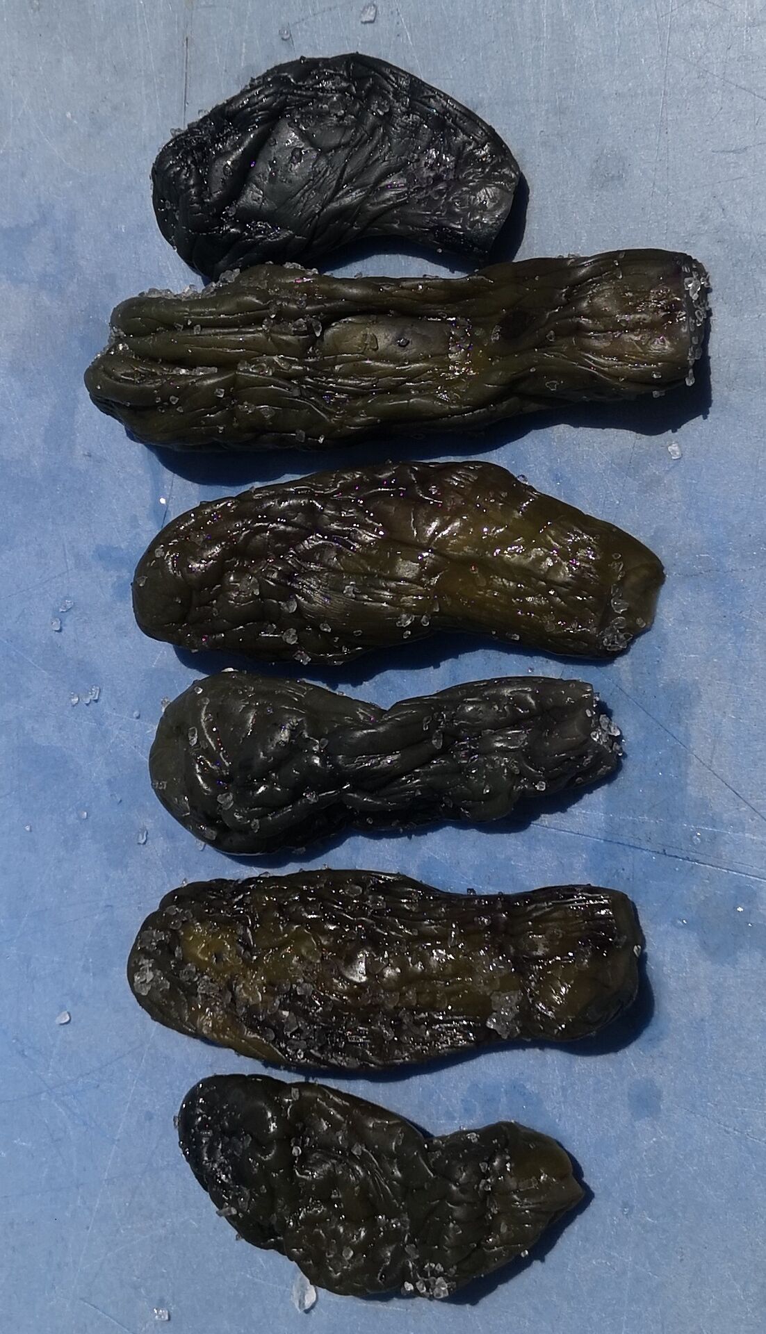 塩蔵茄子5